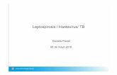 Leptospirosis / Hantavirus/ TB³rico_Hanta_Lepto_TB.pdf · • Encefalitis Equina del Este • Encefalitis Equina del Oeste • Dengue • Fiebre Amarilla ... • Acidosis metabólica