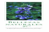 Bellezas naturales G - Save Dallas Water 5 4 6 Seleccione plantas apropiadas. Utilice plantas nativas o resistentes a la sequía tanto como sea posible. Hay cientos de plantas hermosas