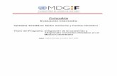 Colombia - MDG Fund | Delivering on commitments · 2010-10-27 · Adaptación al Cambio Climático en el Macizo Colombiano ... con un grupo de referencia en el que han estado representados
