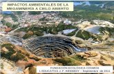 IMPACTOS AMBIENTALES DE LA MEGAMINERÍA A CIELO … · ¡llegÓ la “fiebre de oro” al quindio! ... impactos ambientales de la mega minerÍa a cielo abierto fundación ecológica