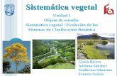 Sistemática vegetal estudio de la sistemática comprende la clasificación de los seres vivos. Desde la época de Aristóteles, los organismos vivos se clasificaron en dos reinos: