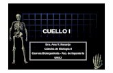 CUELLO I - dea.unsj.edu.ardea.unsj.edu.ar/biologia2/CUELLO I.pdf · cabeza Oblicuo menor de la cabeza. Músculos de la región lateral del cuello SUPERFICIALES PROFUNDOS Cutáneo