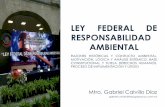 LEY FEDERAL DE RESPONSABILIDAD AMBIENTAL · ley federal de responsabilidad ambiental razones histÓricas y conflicto ambiental, motivaciÓn, lÓgica y anÁlisis sistÉmico, base constitucional