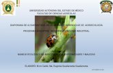 Presentación de PowerPoint - core.ac.uk · Manual de implamentación de un sistema de gestiómn ambiental en la empresa forestal. Chile. 92 p. 7.Fundación Sinaloa EcoRegión, A.