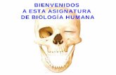BIENVENIDOS A ESTA ASIGNATURA DE BIOLOGÍA … biologia humana.pdf · CARACTERISTICAS DE LOS SERES VIVOS. Toda Investigación científica se apoya en principios científicos