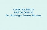 CASO CLÍNICO PATOLÓGICO Dr. Rodrigo Torres Muñoz · • Gross WL, Csernok E. Immunodiagnostic and pathophysiologic aspects of antineutrophil cytoplasmic antibodies in vasculitis.