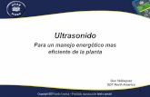 Ultrasonido - reliabilityweb.com · Que es el ultrasonido. Copyright SDT North America –Prohibida reproducción total o parcial ... Eficiencia 80% - 5,000 HR/año –9 $/1 MM BTU
