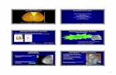 Radiología de la mama -  · contraste Aplicación Multimedia para la Enseñanza de Radiología a Alumnos de Medicina 6/57 Objetivos técnicos - Contraste y resolución elevados