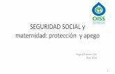 SEGURIDAD SOCIAL y maternidad: protección y apego€¢. , vínculo sobre igualdad de género.
