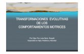 TRANSFORMACIONES EVOLUTIVAS DE LOS …ecaths1.s3.amazonaws.com/maps/1066885636.Transformaciones... · - Actitud Postural - Tono Activo - Tono Pasivo B) MECANISMO S UCCIÓN – DEGLUCIÓN