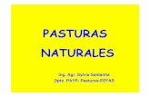 PASTURAS NATURALES - :: Sitio web del Departamento de ...prodanimal.fagro.edu.uy/cursos/PASTURAS CRS/26... · en sistemas agrícolas – ganaderos y de agrícultura ... escasas leguminosas