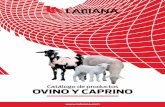 Catálogo de productos OVINO Y CAPRINOalbeitar.portalveterinaria.com/revistasonline/espFigan2017/assets/...Prevención y tratamiento de los transtornos digestivos ... • Estrés y