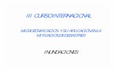III CURSO INTERNACIONAL - BVSDE Desarrollo Sostenible · CANALES CON FONDO MOVIL ... CAJAS DE GAVIONES. ... Defensa Ribereña Carretera Cusco Abancay (CUSCO) Fuente: Maccaferri. …