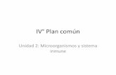 IV° Plan común - stls.cl 2017/4m/biologia/IV° Plan común... · en calidad de comensales, o bien, como parásitos. ... causando amebiasis; flagelados, como el Trypanosoma cruzi,