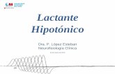 PATRONES NEUOFISIOLOGICOS EN EL LACTANTE ... - …gustavolorenzo.es/conferencias/enfer/2012/m1c1.pdf · Introducción - I • La evaluación clínica del lactante hipotónico es la
