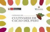 CULTIVARES DE CACAO DELPERÚ - minagri.gob.pe · búsqueda de información específica de una determinada accesión de cacao (clon, raza o ecotipo). desde el año 1990, ... engels