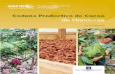 Cadena Productiva de Cacao de Honduras - aprocacaho.com · Cadena Productiva de Cacao de Honduras. ... En el mundo, el cacao tiene un papel importante en los . ingresos de los países