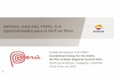 REPSOL GAS DEL PERU, S.A. Oportunidades para el GLP en … · Evasión tributaria en sus operaciones y ... Contrabando desde Ecuador y Bolivia ... Diseño de cartilla de seguridad