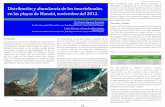 Bioma, Febrero 2013 Esta investigación tiene como objetivo ... · Vista general de las zonas de muestreos de la Provincia de Manabí; a. Puerto López; b. ... Storer T., y R. Usinger.