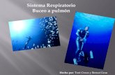 Sistema Respiratorio Buceo a pulmón - cienciessek - 0 ...cienciessek.wikispaces.com/file/view/aparto+respiratorio,+buceo+a... · Sistema Respiratorio Buceo a pulmón Hecho por: Toni