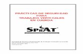 PRÁCTICAS DE SEGURIDAD PARA TRABAJOS … Practices - August 2012_ SPANISH.pdf · 9. Sección guardada ... verbales, letreros, barreras, líneas de seguridad u otros dispositivos