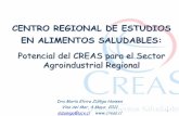 CENTRO REGIONAL DE ESTUDIOS EN ALIMENTOS …ucv.altavoz.net/prontus_unidacad/site/artic/20110504/asocfile/... · Temario 1. Chile Potencia Alimentaria ? 2. CREAS Quienes somos Nuestras