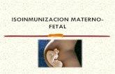 ISOINMUNIZACION MATERNO- FETAL · El Rh es una proteína que se encuentra en la ... neonatal Datos postnatales de ... Hidropesía Ictericia Destrucción masiva de