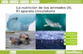 La nutrición de los animales (II). El aparato circulatorioiespoetaclaudio.centros.educa.jcyl.es/sitio/upload/06.ap...INICIO ESQUEMA RECURSOS INTERNET BIOLOGÍA Y GEOLOGÍA Bachillerato