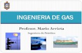 INGENIERIA DE GAS - profesormario.files.wordpress.com · riesgos en el manejo del gas natural como principal materia prima para la ... tratamiento del gas ... Se denomina gas natural