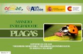 MANEJO INTEGRADO DE PLAGAS - …saludpublica.bvsp.org.bo/cc/bo40.1/documentos/677.pdf · La publicación de esta cartilla es gracias al apoyo de: AECID ... Hormigas, gusanos, picudo