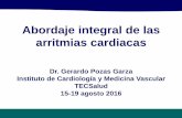 Abordaje integral de las arritmias cardiacascedecec.com/wp-content/uploads/2016/08/MONITORIZACION-Y... · 2016-08-15 · Abordaje integral de las arritmias cardiacas ... Modelo estructural