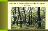 MÉXICO - cbd.int · Inventario Nacional Forestal y de Suelos . ... – Remedición anual del 20% de los sitios permanentes de muestreo para trabajar en la dinámica de cambio.