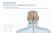 Hidrocefalia - psb003.files.wordpress.com · Punción lumbar (drenaje de LCR) Derivación ventricular (neuroendoscopía) ... (1994). El Manual Merck de diagnóstico y terapéutica.