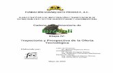 Cadena Agroalimentaria de Brócoli - cofupro.org.mx · fundaciÓn guanajuato produce, a.c. plan estratÉgico de investigaciÓn y transferencia de tecnologÍa en el sector agropecuario