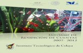 Instituto Tecnológico de Celayatecnm.mx/archivos/irc/informerendicion2007-2012/Guanajuato/Celaya... · Informe de RENDICIÓN DE CUENTAS 2007 - 2012 3 INSTITUTO TECNOLÓGICO DE CELAYA