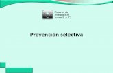 Prevención selectiva - intranet.cij.gob.mx · Ambientales: tolerancia y disponibilidad de sustancias. Base teórica ... Instituciones especializadas (comorbilidad asociada al consumo
