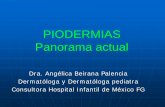 PIODERMIAS Panorama actual - pediatrasyucatan.org.mxpediatrasyucatan.org.mx/docs/presentaciones/piodermias_panorama... · Piodermias comunes Impétigo Furunculosis, carbunco y foliculitis