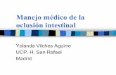 Manejo médico de la oclusión intestinal - SEOM: Sociedad Española de … · 2013-01-13 · un buen cuidado de la boca seca. Obstrucción intestinal (OI) ¿ Debo iniciar Nutrición