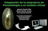 Adaptación de la asignatura de Parasitología a un modelo ...webs.ucm.es/centros/cont/descargas/documento3604.pdf · Adaptación de la asignatura de Parasitología a un modelo virtual