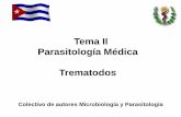 Tema II Parasitología Médica Trematodos - uvsfajardo.sld.cuuvsfajardo.sld.cu/sites/uvsfajardo.sld.cu/files/vi_trematodos.pdf · Muestra Métodos directos ... (estadios iniciales)