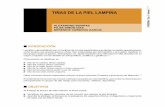 TIÑAS DE LA PIEL LAMPIÑA - secad.com.mx · Dentro de los diagnósticos diferenciales se encuentran: eritrasma, intertrigo, dermatitis por contacto, psoriasis invertida, ...
