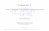 CAP1 - Como baixar e instalar o R - so pro site · Capítulo 1 – Como Baixar e Instalar o Programa R Gustavo Mello Reis José Ivo Ribeiro Júnior 3