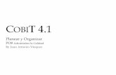 COBIT 4 - La Doctrina · Los temas a considerar incluyen estándares de codificación de software, ... Matriz RACI El CIO es el responsable de realizar cada una de las actividades