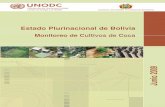 BOLIVIA COCA SURVEY spanish corregido 1706 A PDF · manual, y podría ... El incremento del cultivo de hoja de coca en Bolivia entre 2007 y 2008 se debe al crecimiento en las dos