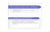 METABOLISMO DE LIPIDOS - Catedras Maria Cristina … · 2010-08-02 · 2 21.2 Catabolismo de lípidos Digestión Ocurre en ambiente acuoso del intestino y utiliza enzimas solubles