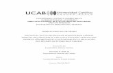 UNIVERSIDAD CATÓLICA ANDRÉS BELLO …biblioteca2.ucab.edu.ve/anexos/biblioteca/marc/texto/AAT4047.pdf · estabilidad laboral, y especialmente se analiza la influencia de los decretos