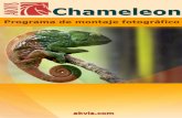 &KDPHOHRQ - download.akvis.comdownload.akvis.com/chameleon-es.pdf · Se puede utilizar Chameleon para el GLVHxRZHE SHUVRQDOL]DGR WDUMHWDVGHIHOLFLWDFLyQ materiales promocionales ,