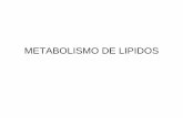 METABOLISMO DE LIPIDOSMETABOLISMO DE LIPIDOS … · 2010-11-07 · METABOLISMO DE LIPIDOSMETABOLISMO DE LIPIDOS. LIPIDOS Extenso grupo de biomoléculas ... Catabolismo de los lípidosCatabolismo