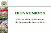BIENVENIDOS - ocs.gobierno.pr a OCS.pdf · de un término de siete (7) años o más, ... 25 Limitaciones de ... Licencia de Consultor Si solicita licencia de Consultor: ...