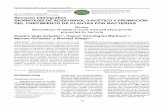 Revisión bibliográfica BIOSÍNTESIS DE ÁCIDO INDOL …scielo.sld.cu/pdf/ctr/v37s1/ctr05s116.pdf · 35 A: auxinas naturales B: Auxinas producidas por síntesis química industrial